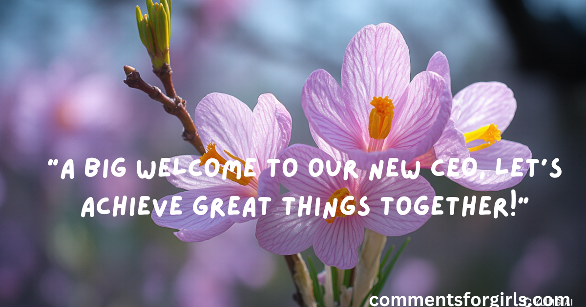 Short Welcome Messages to New Boss